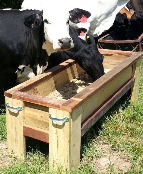 How Does The Animal Feeder Work In Farm Together